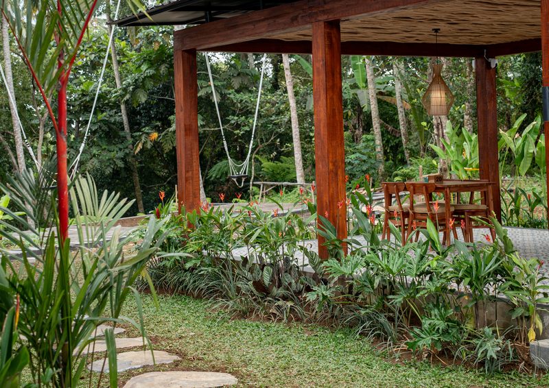 Stepping stones through the planting, leading to the open-air pavilion